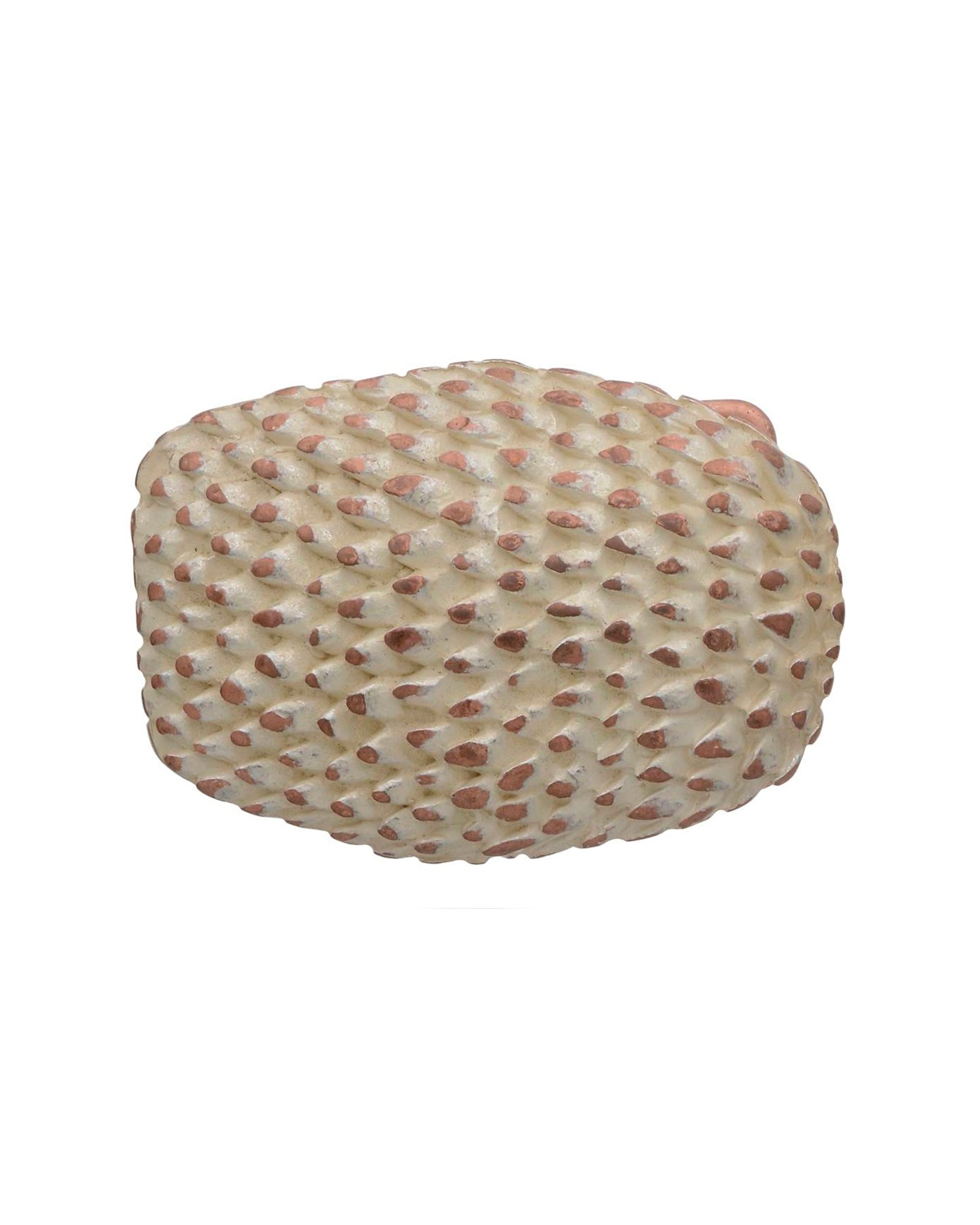 reef gold belt buckle