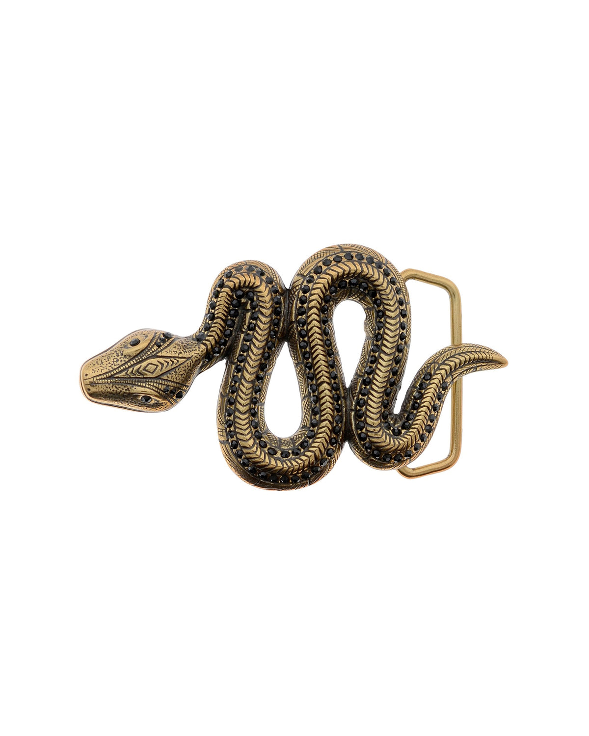 snake gold belt buckle