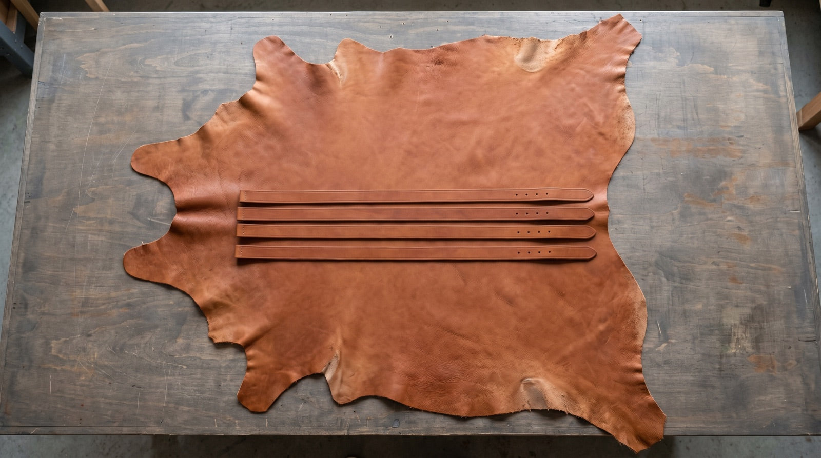 A whole tanned hide laid flat on a cutting table, seen from above, with four belt straps cut from the straight back section